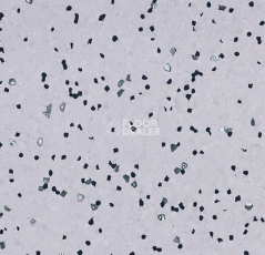 Линолеум Forbo Sphera Ec 450032 soft lilac фото 1 | FLOORDEALER